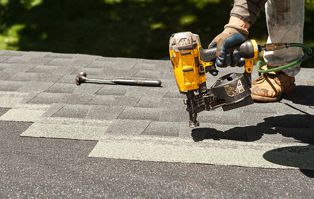 Best Solar Panel Roofing Installation  in South Wallins, KY